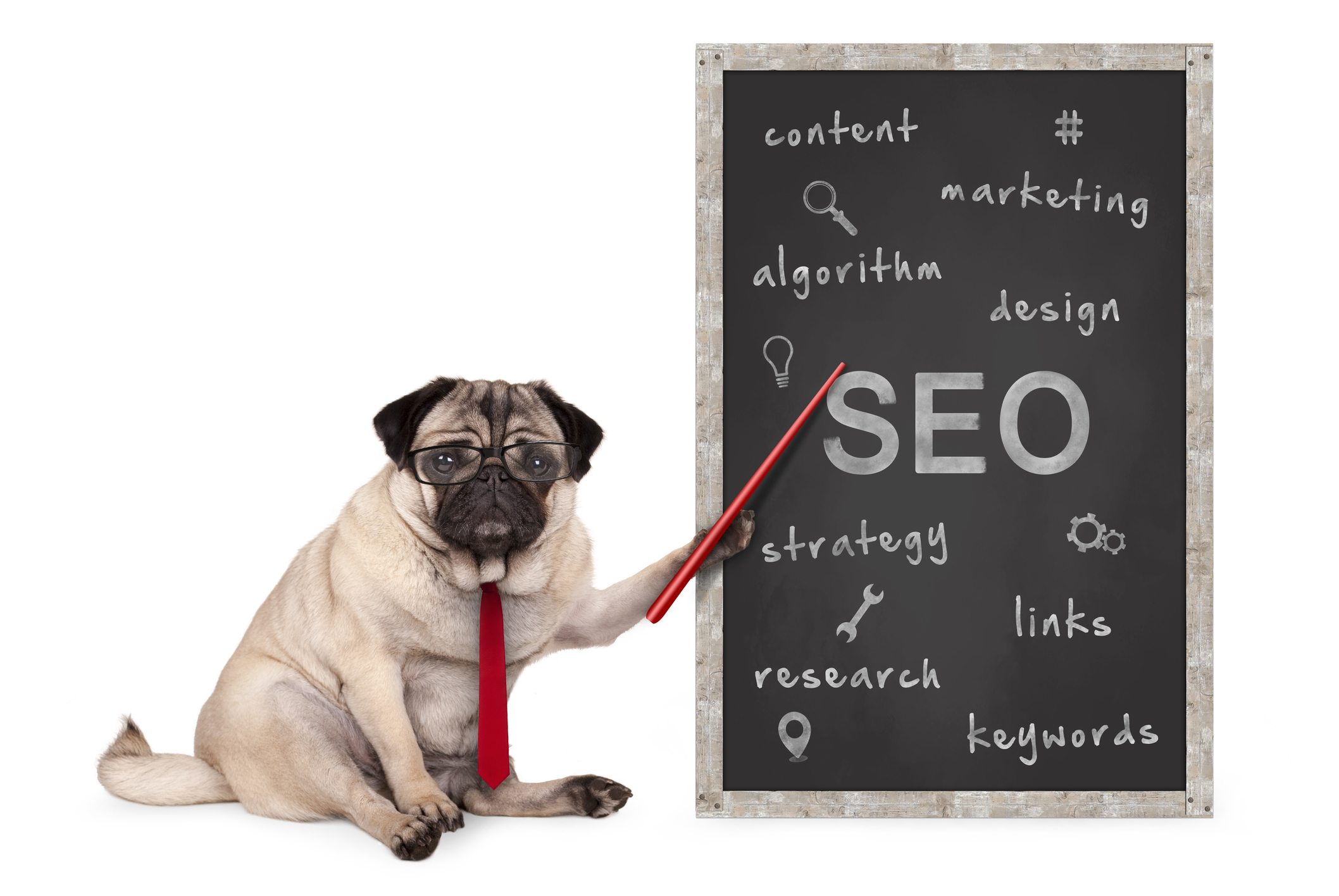 A pug in glasses and a tie shows tips for seo on a blackboard